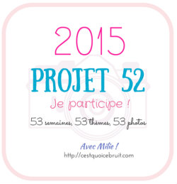 Projet 52